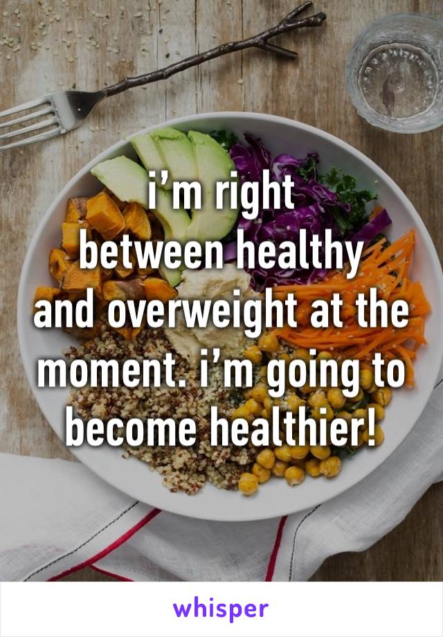 i’m right 
between healthy
and overweight at the moment. i’m going to become healthier!