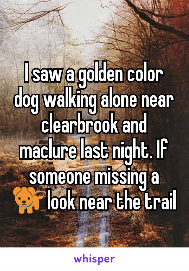 I saw a golden color dog walking alone near clearbrook and maclure last night. If someone missing a 🐕 look near the trail