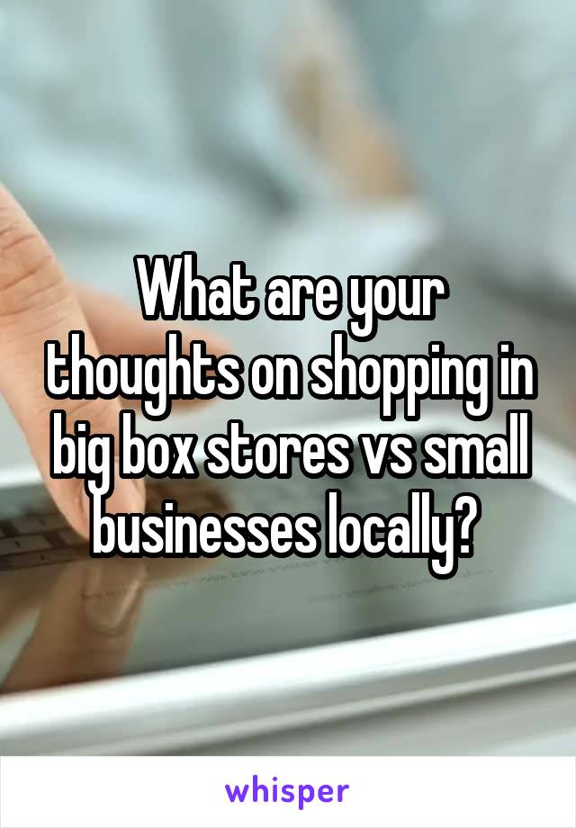 What are your thoughts on shopping in big box stores vs small businesses locally? 