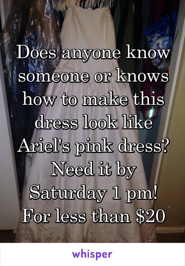 Does anyone know someone or knows how to make this dress look like Ariel's pink dress?
Need it by Saturday 1 pm!
For less than $20