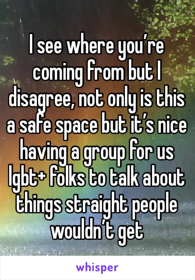 I see where you’re coming from but I disagree, not only is this a safe space but it’s nice having a group for us lgbt+ folks to talk about things straight people wouldn’t get