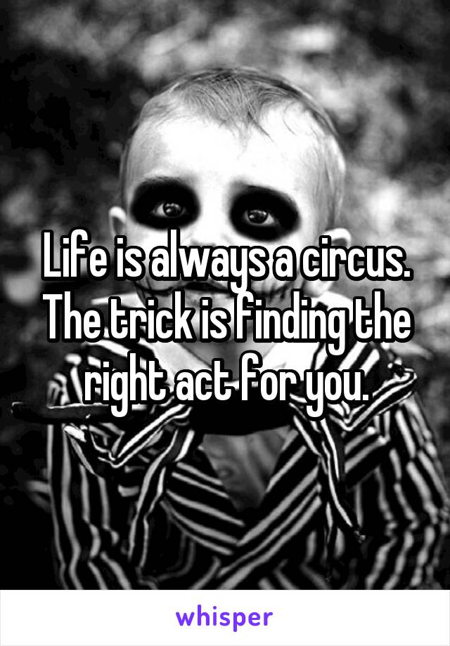 Life is always a circus.
The trick is finding the right act for you.