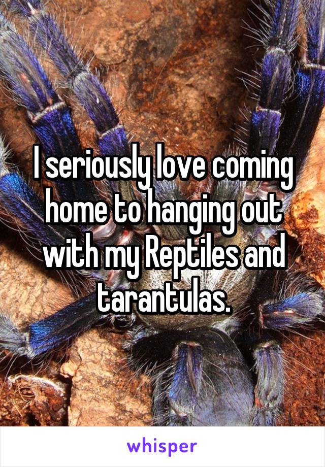 I seriously love coming home to hanging out with my Reptiles and tarantulas.