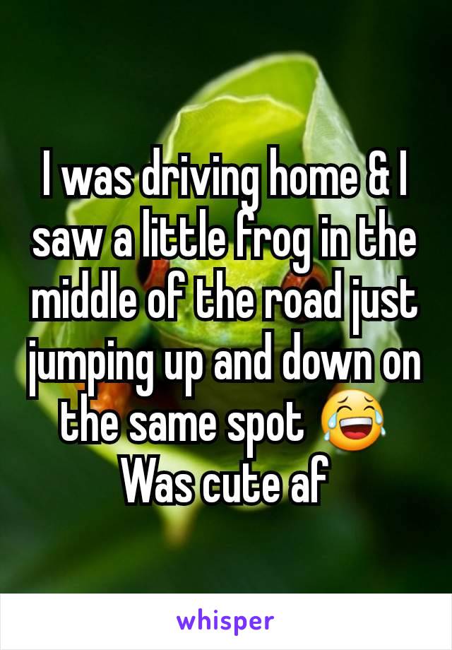 I was driving home & I saw a little frog in the middle of the road just jumping up and down on the same spot 😂 Was cute af