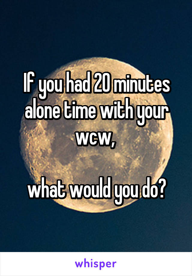 If you had 20 minutes alone time with your wcw, 

what would you do?