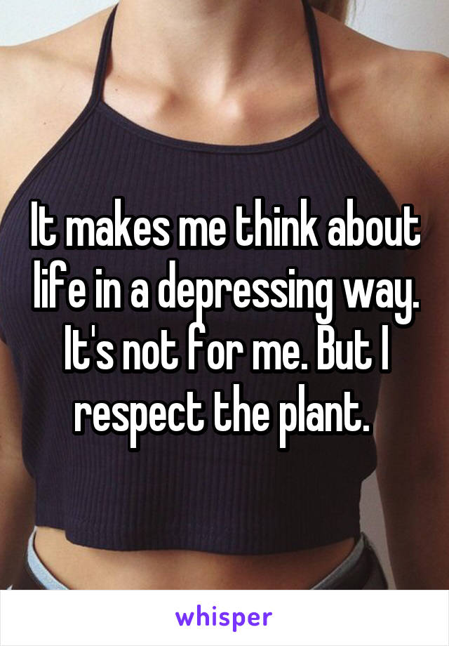 It makes me think about life in a depressing way. It's not for me. But I respect the plant. 