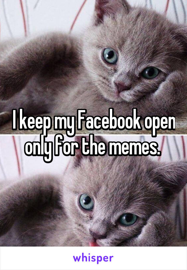 I keep my Facebook open only for the memes. 