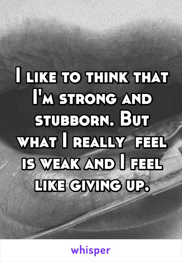 I like to think that I'm strong and stubborn. But what I really  feel is weak and I feel like giving up.