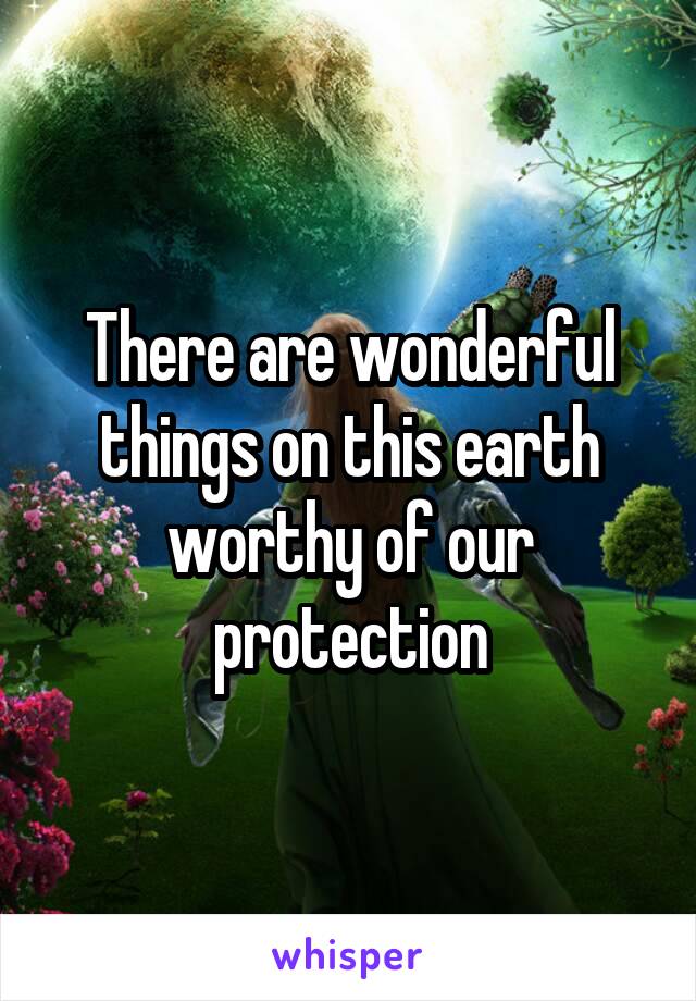 There are wonderful things on this earth worthy of our protection