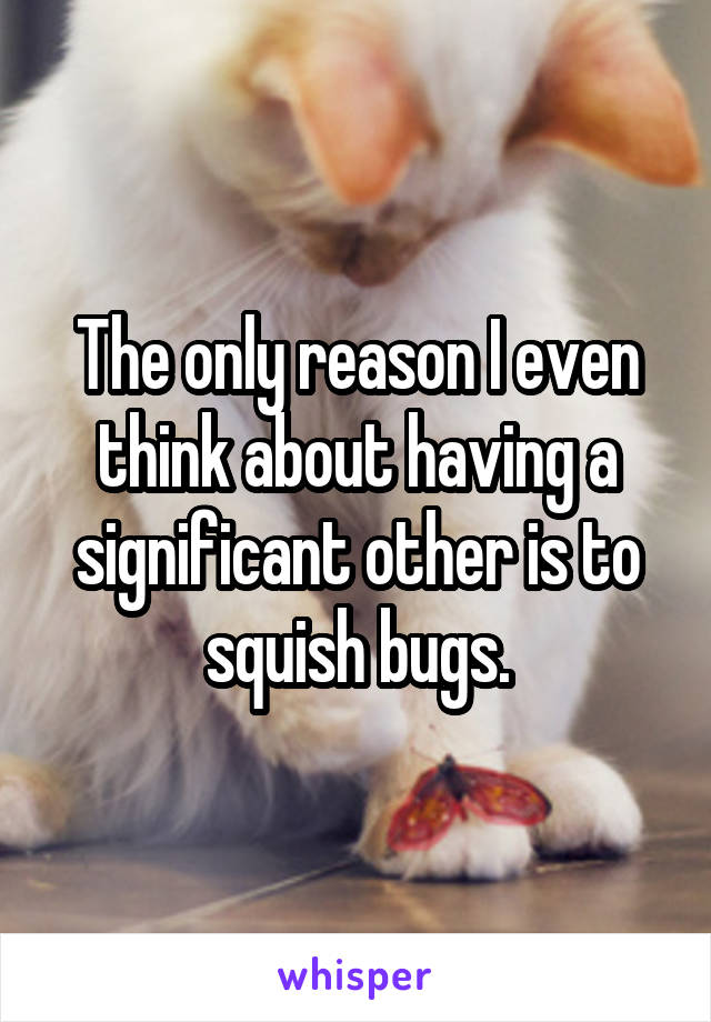The only reason I even think about having a significant other is to squish bugs.