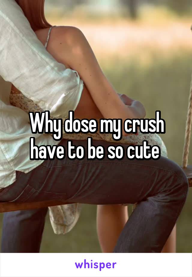 Why dose my crush have to be so cute 