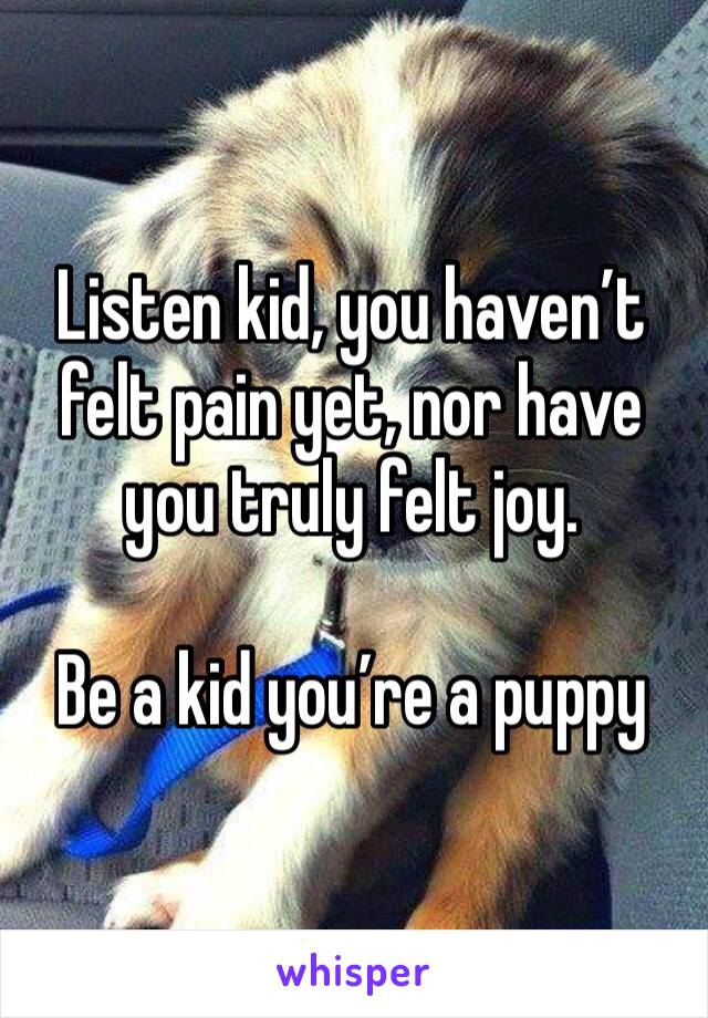 Listen kid, you haven’t felt pain yet, nor have you truly felt joy.    

Be a kid you’re a puppy
