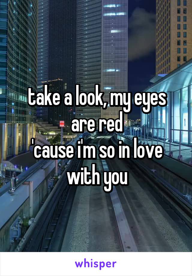 take a look, my eyes
are red
'cause i'm so in love
with you
