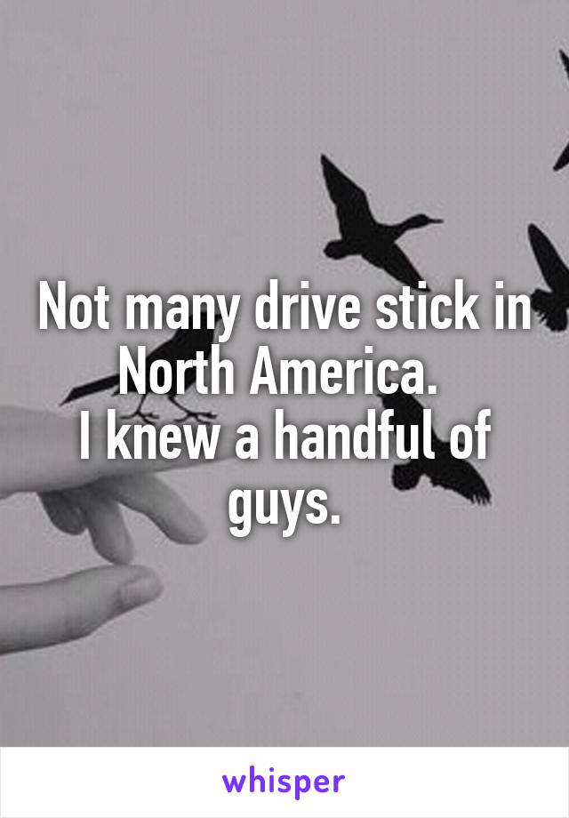 Not many drive stick in North America. 
I knew a handful of guys.
