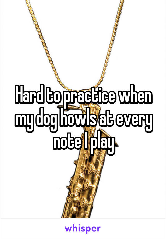 Hard to practice when my dog howls at every note I play