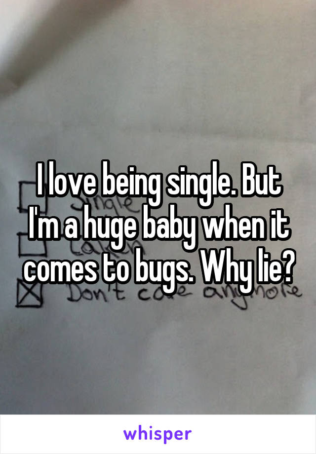 I love being single. But I'm a huge baby when it comes to bugs. Why lie?