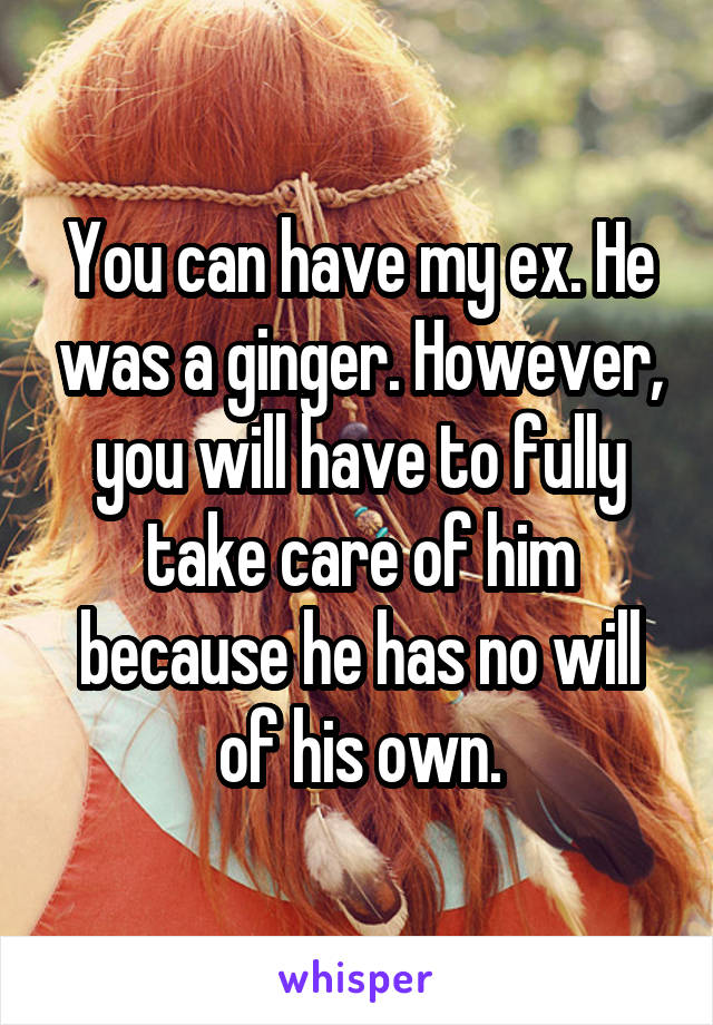 You can have my ex. He was a ginger. However, you will have to fully take care of him because he has no will of his own.