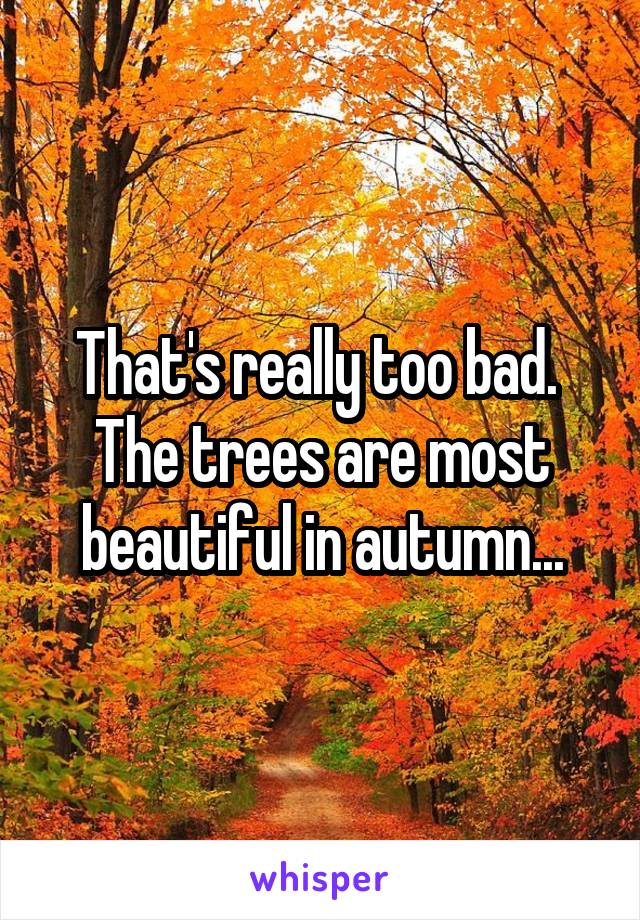 That's really too bad.  The trees are most beautiful in autumn...