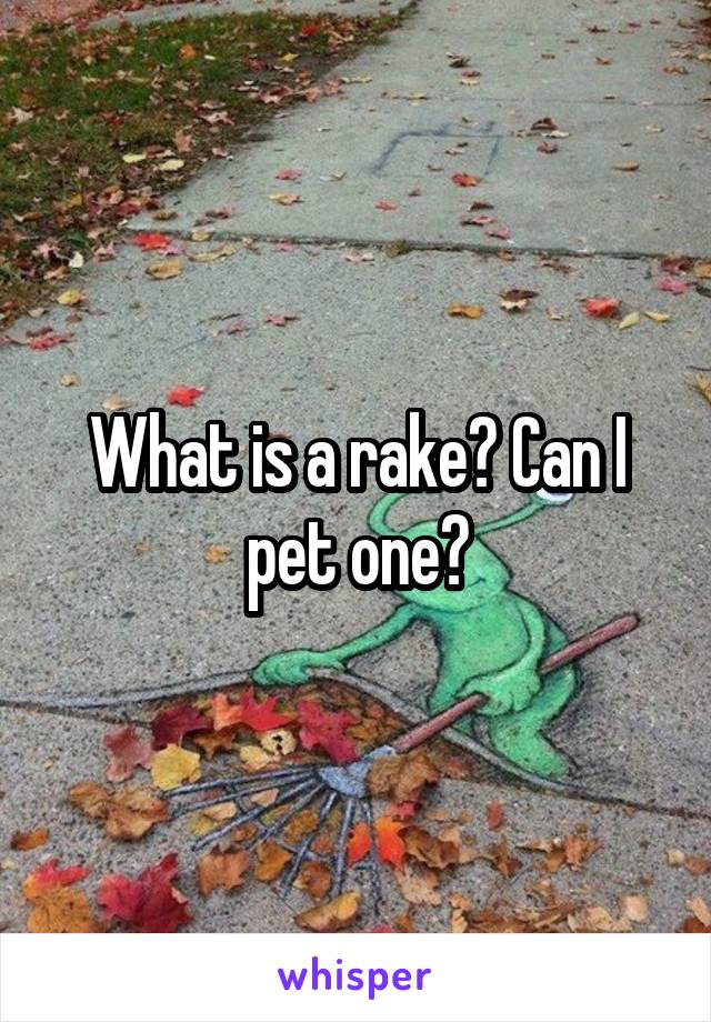 What is a rake? Can I pet one?