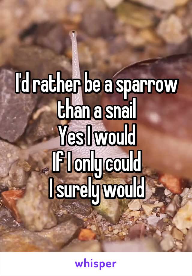 I'd rather be a sparrow than a snail
Yes I would
If I only could
I surely would