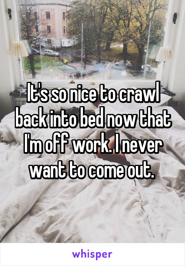 It's so nice to crawl back into bed now that I'm off work. I never want to come out. 