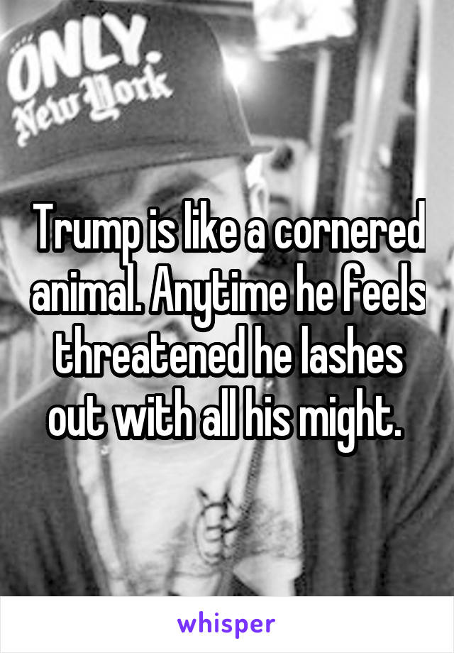 Trump is like a cornered animal. Anytime he feels threatened he lashes out with all his might. 