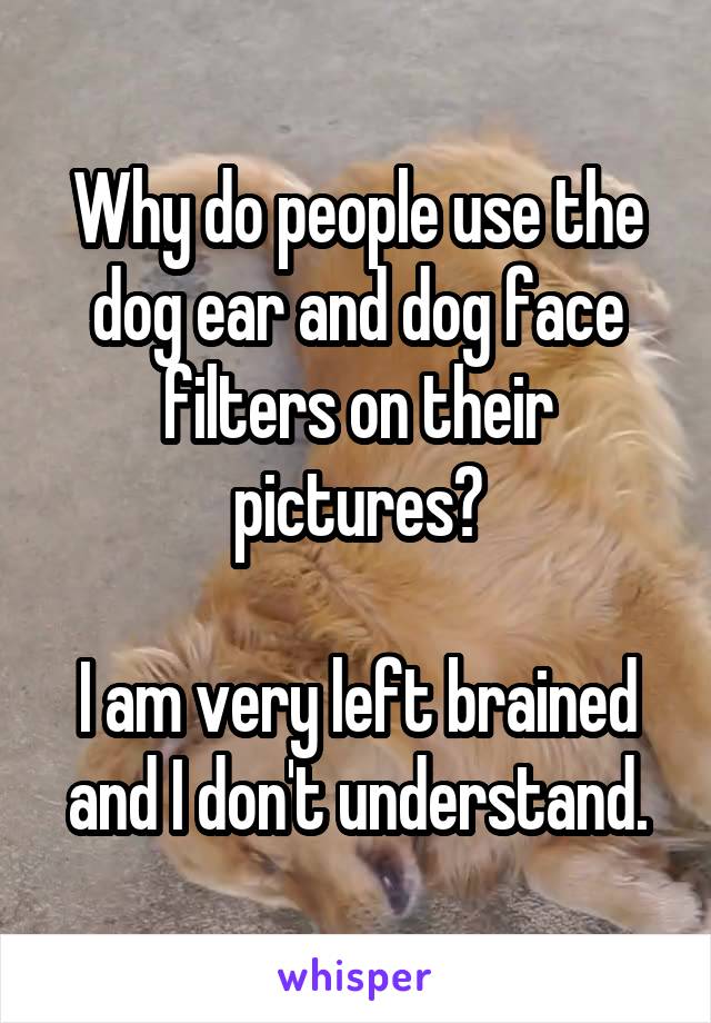 Why do people use the dog ear and dog face filters on their pictures?

I am very left brained and I don't understand.
