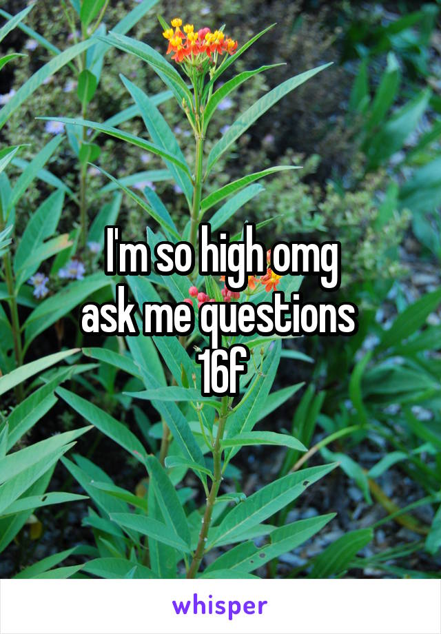 I'm so high omg
ask me questions 
16f