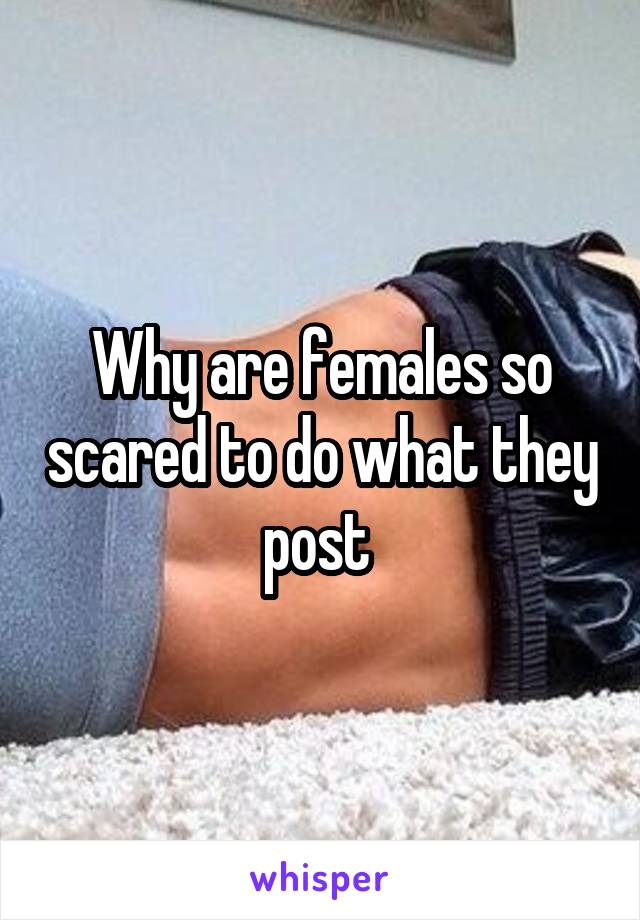 Why are females so scared to do what they post 