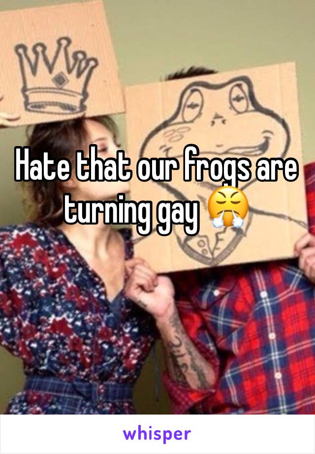 Hate that our frogs are turning gay 😤