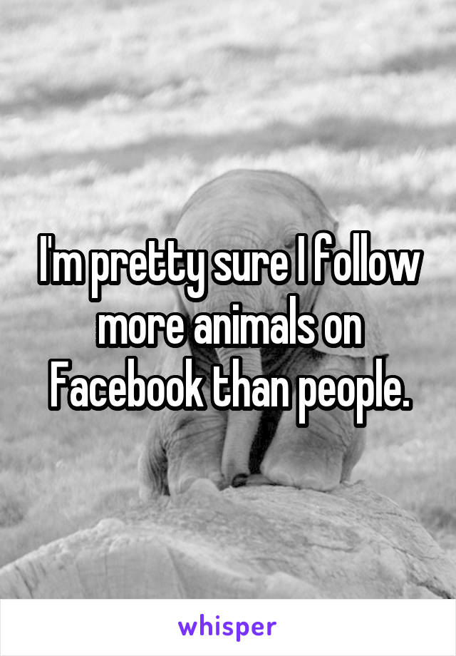 I'm pretty sure I follow more animals on Facebook than people.