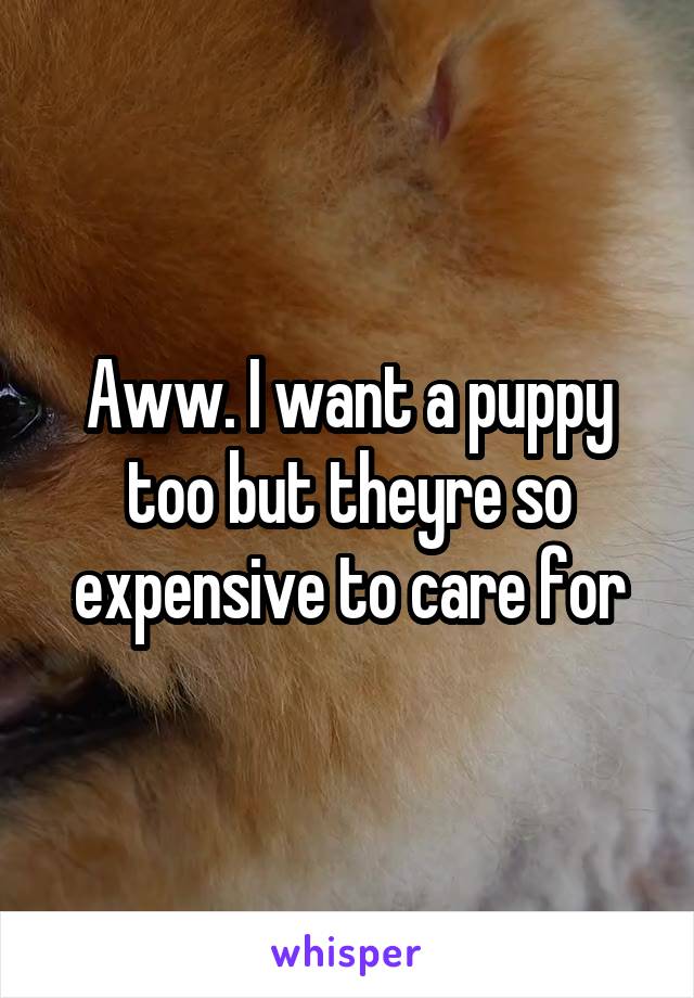 Aww. I want a puppy too but theyre so expensive to care for