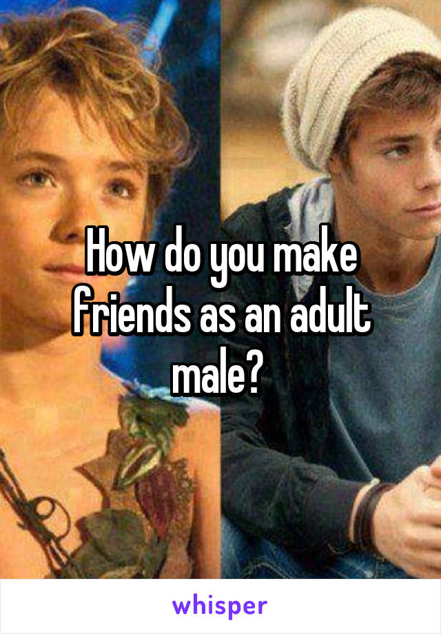 How do you make friends as an adult male? 