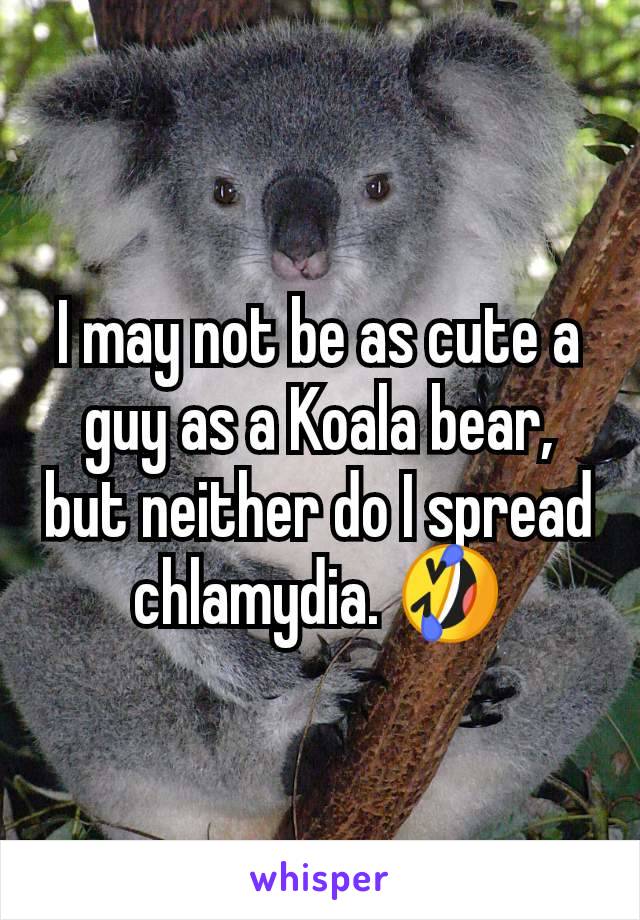 I may not be as cute a guy as a Koala bear, but neither do I spread chlamydia. �不