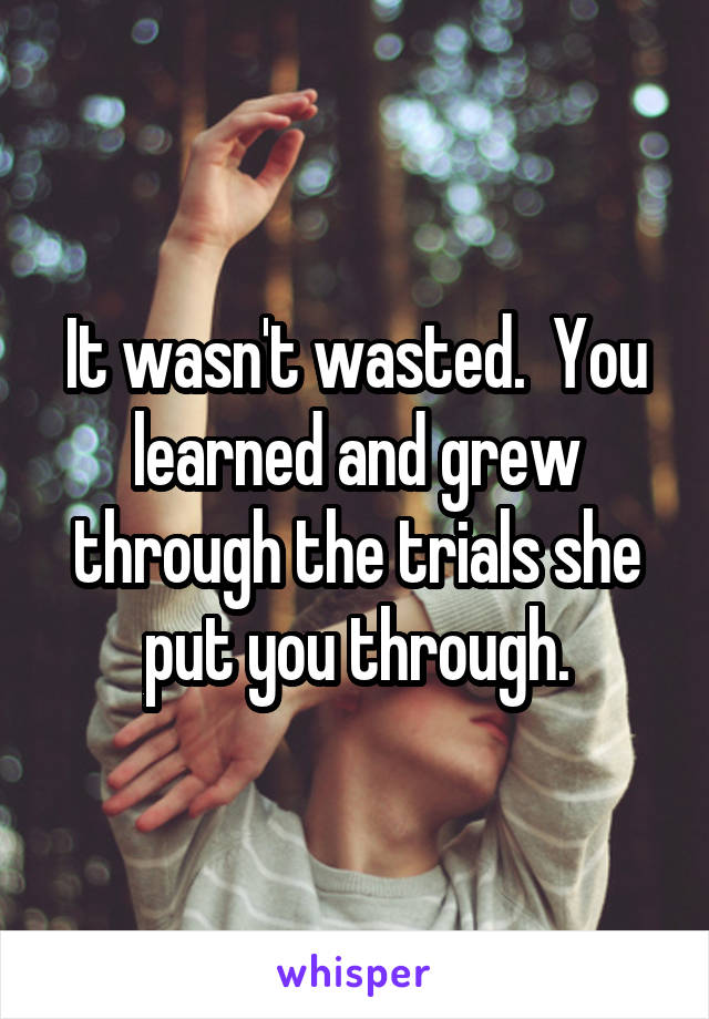 It wasn't wasted.  You learned and grew through the trials she put you through.