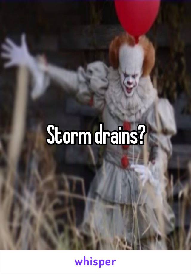 Storm drains?
