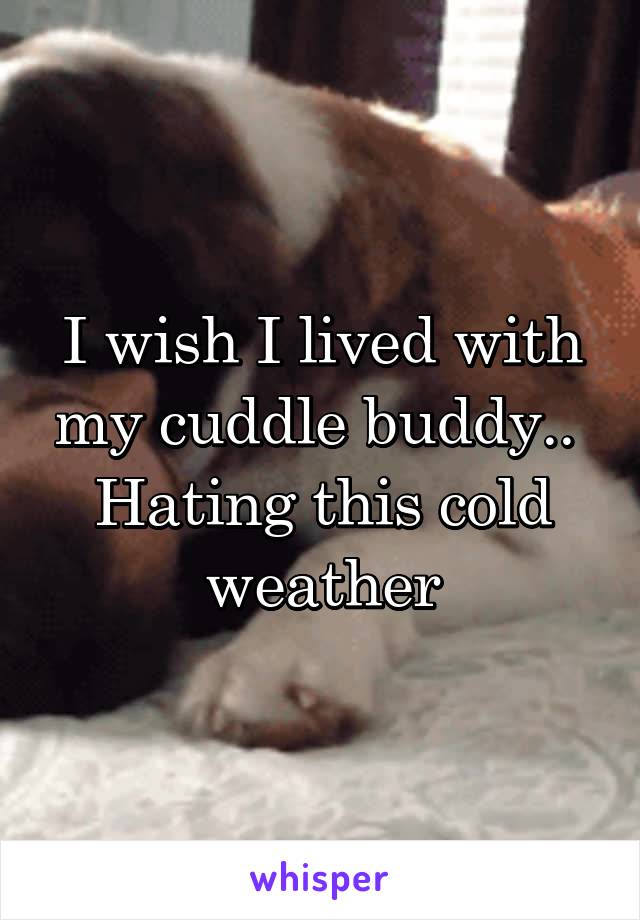 I wish I lived with my cuddle buddy.. 
Hating this cold weather