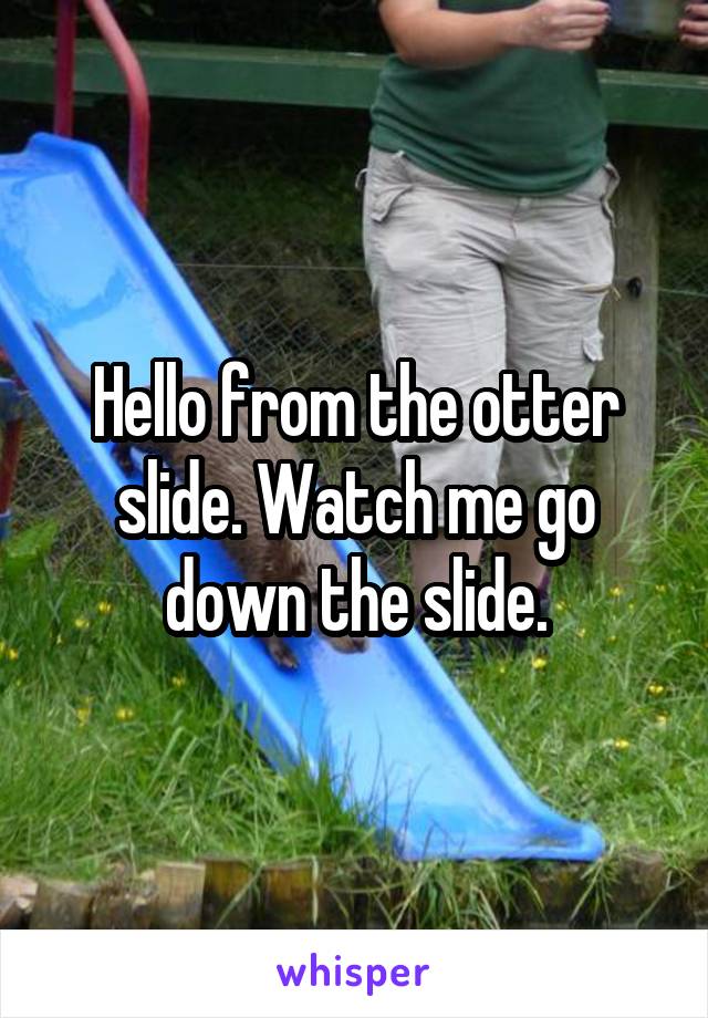 Hello from the otter slide. Watch me go down the slide.