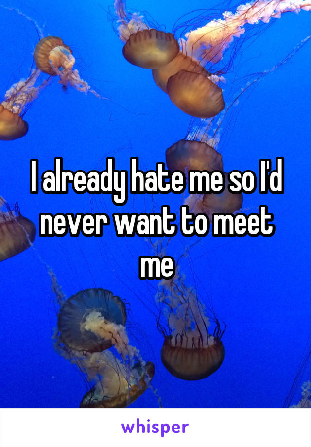I already hate me so I'd never want to meet me
