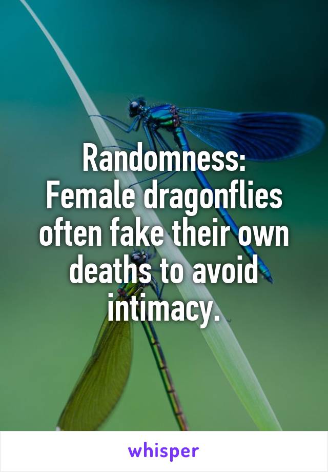 Randomness:
Female dragonflies often fake their own deaths to avoid intimacy.