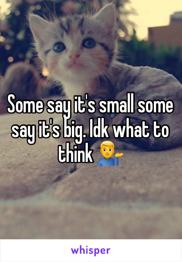 Some say it's small some say it's big. Idk what to think ðŸ’�â€�â™‚ï¸�