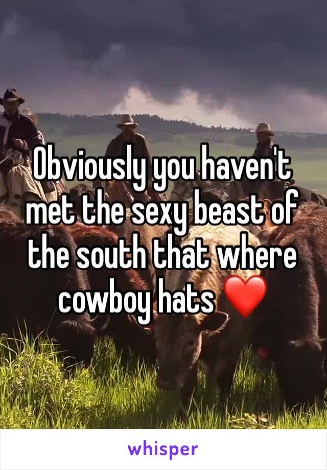 Obviously you haven't met the sexy beast of the south that where cowboy hats ❤️