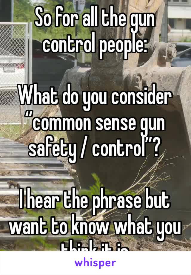 So for all the gun control people: 

What do you consider “common sense gun safety / control”?

I hear the phrase but want to know what you think it is
