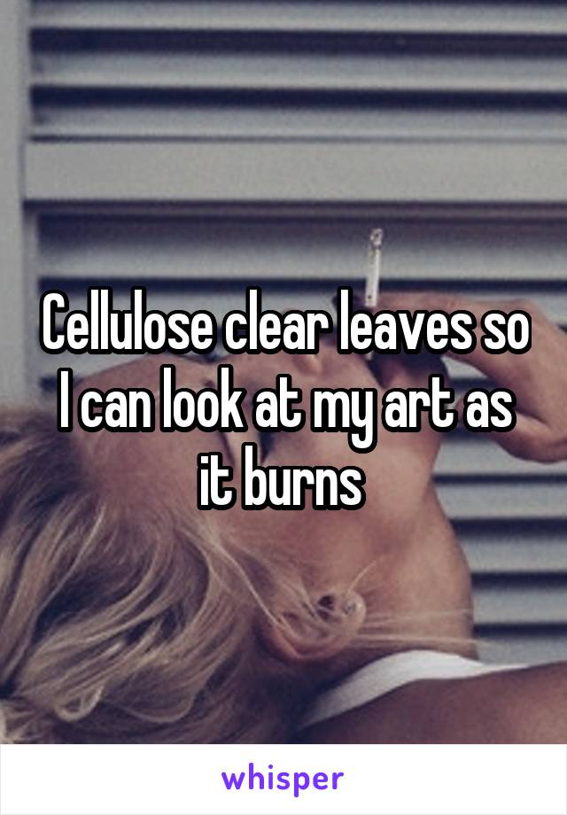 Cellulose clear leaves so I can look at my art as it burns 