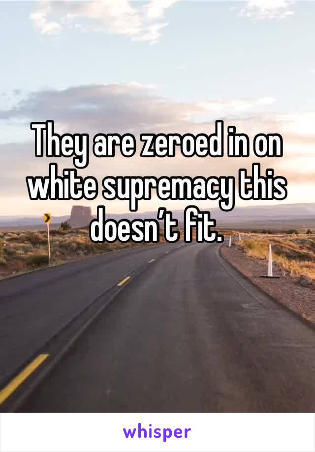They are zeroed in on white supremacy this doesn’t fit. 