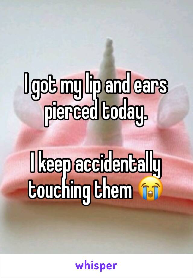 I got my lip and ears pierced today. 

I keep accidentally touching them ðŸ˜­