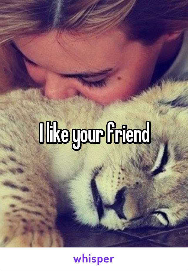 I like your friend