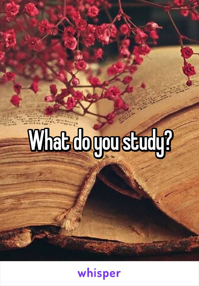 What do you study?