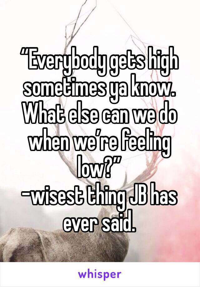 “Everybody gets high sometimes ya know. What else can we do when we’re feeling low?”
-wisest thing JB has ever said.