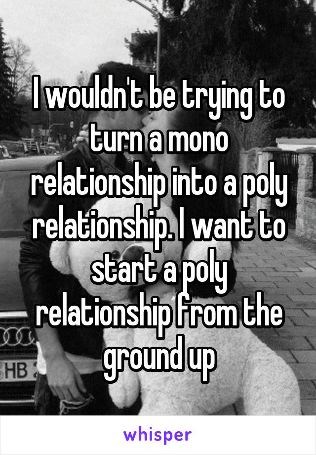I wouldn't be trying to turn a mono relationship into a poly relationship. I want to start a poly relationship from the ground up
